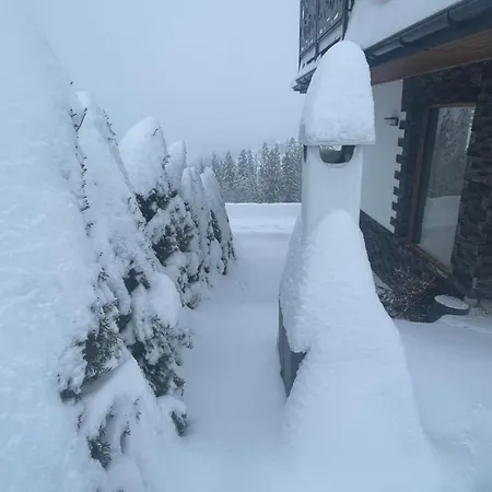 Goralski Reset 木屋