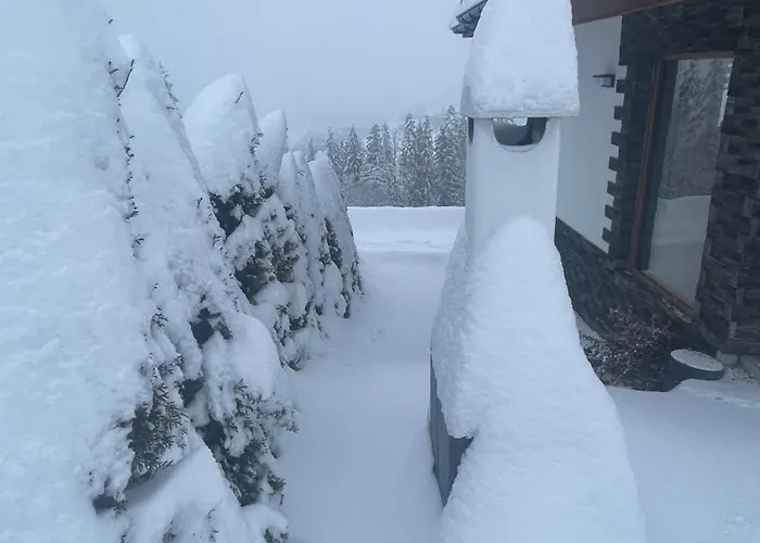 Goralski Reset Chalet